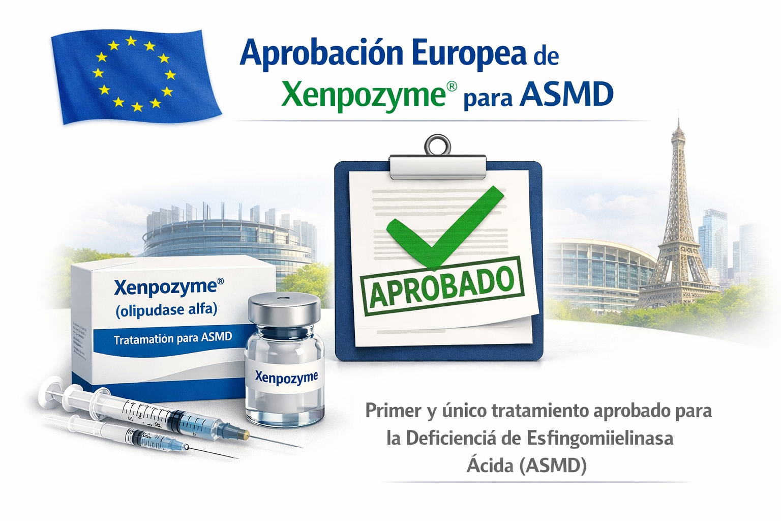 La Comisión Europea aprueba Xenpozyme (olipudasa alfa) como primer y único tratamiento para ASMD
